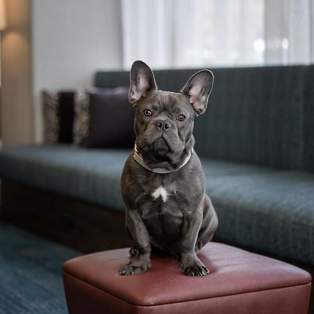 Hampton Inn Cleveland-Downtown Εξωτερικό φωτογραφία